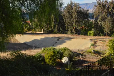 DSC_7360 (Large).JPG